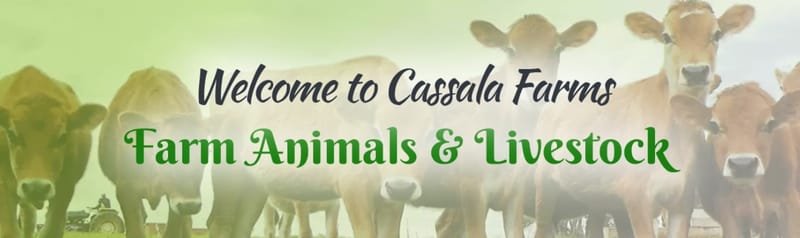 cassalafarms - Cassala Farms
