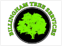 Billingham Tree Services
