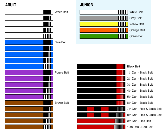 The BJJ Belts and Grading System image