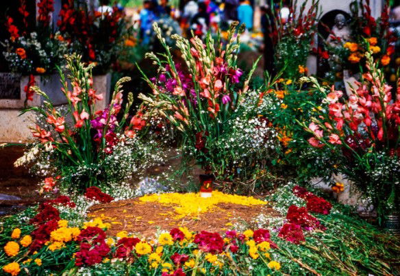Dia de los Muertos - Come celebrate your loved ones with us!