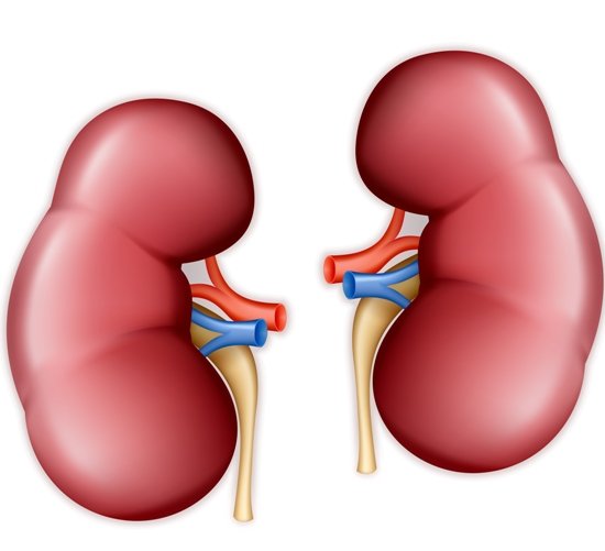 Why People Must Choose The Functional Kidney Therapy?
