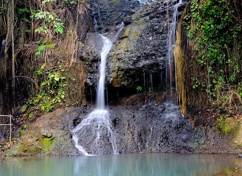 Waterfalls & Botanical Gardens