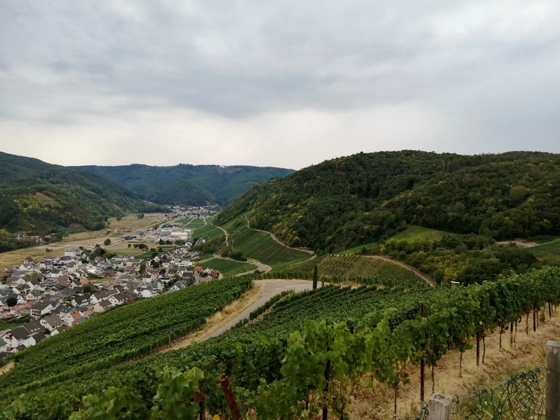 A Wine Tour of Germany