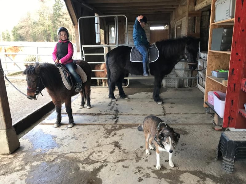 Pony-Paradies.ch - Herzlich Willkommen