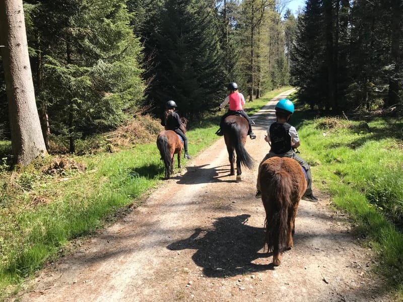 Pony-Paradies.ch - Herzlich Willkommen