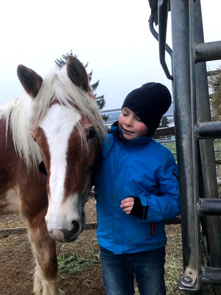 Pony-Paradies.ch - Herzlich Willkommen