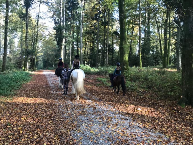 Pony-Paradies.ch - Herzlich Willkommen