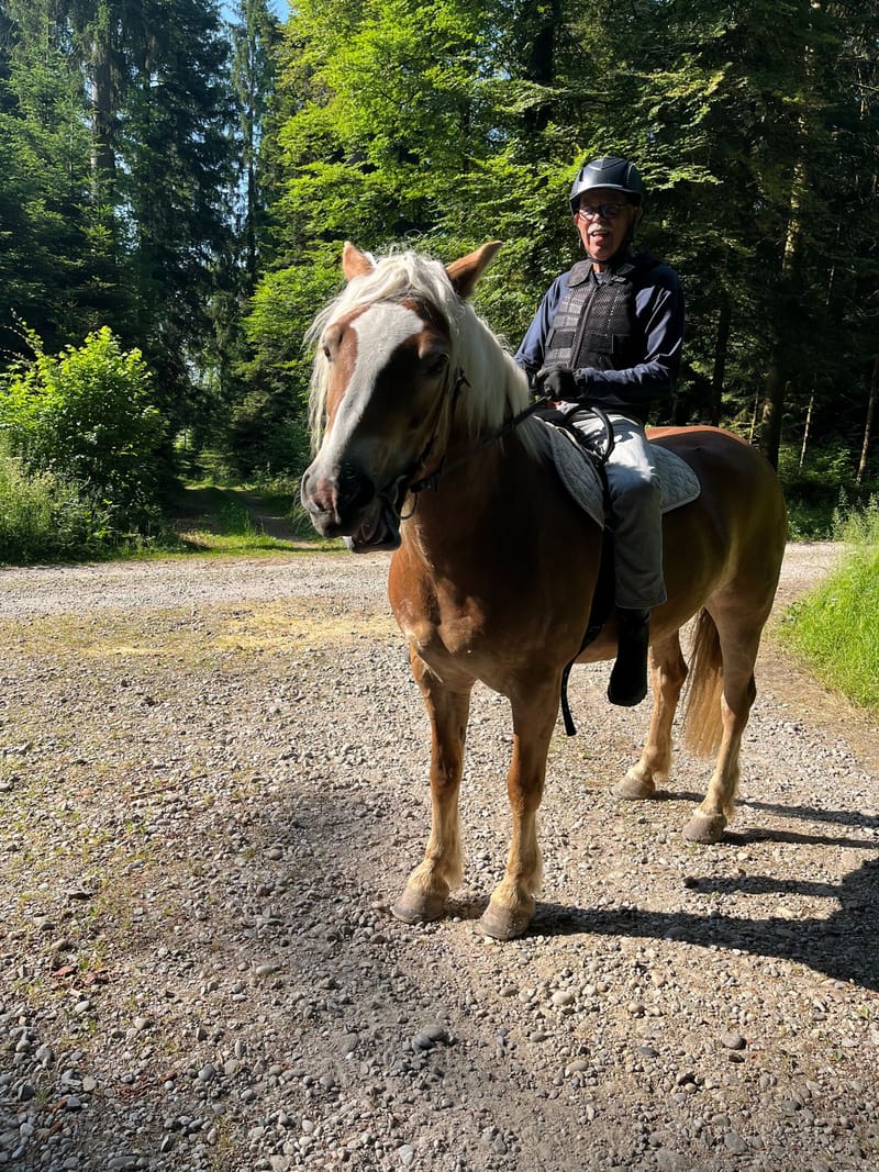 Peter Aegerter PonyParadies.ch