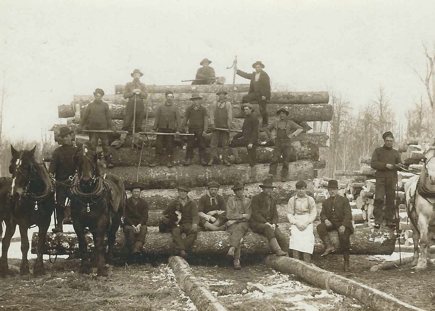 Logging, early 1900s