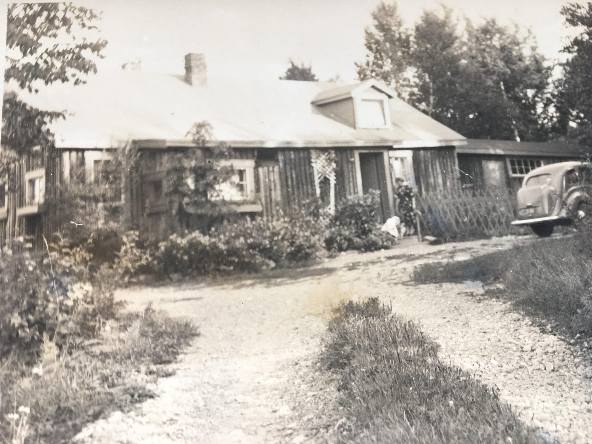 Birch Hill Cabin, 1949