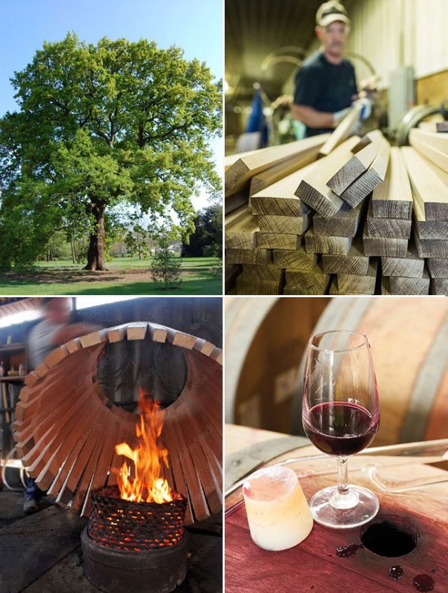 Discover the Unique Flavors of Serbian Oak Barrels BARRIQUE SA