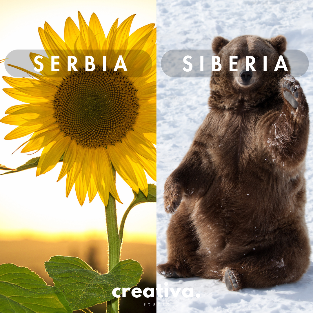 Serbia vs. Siberia: A Hilariously Unhelpful Guide for the Geographically Challenged