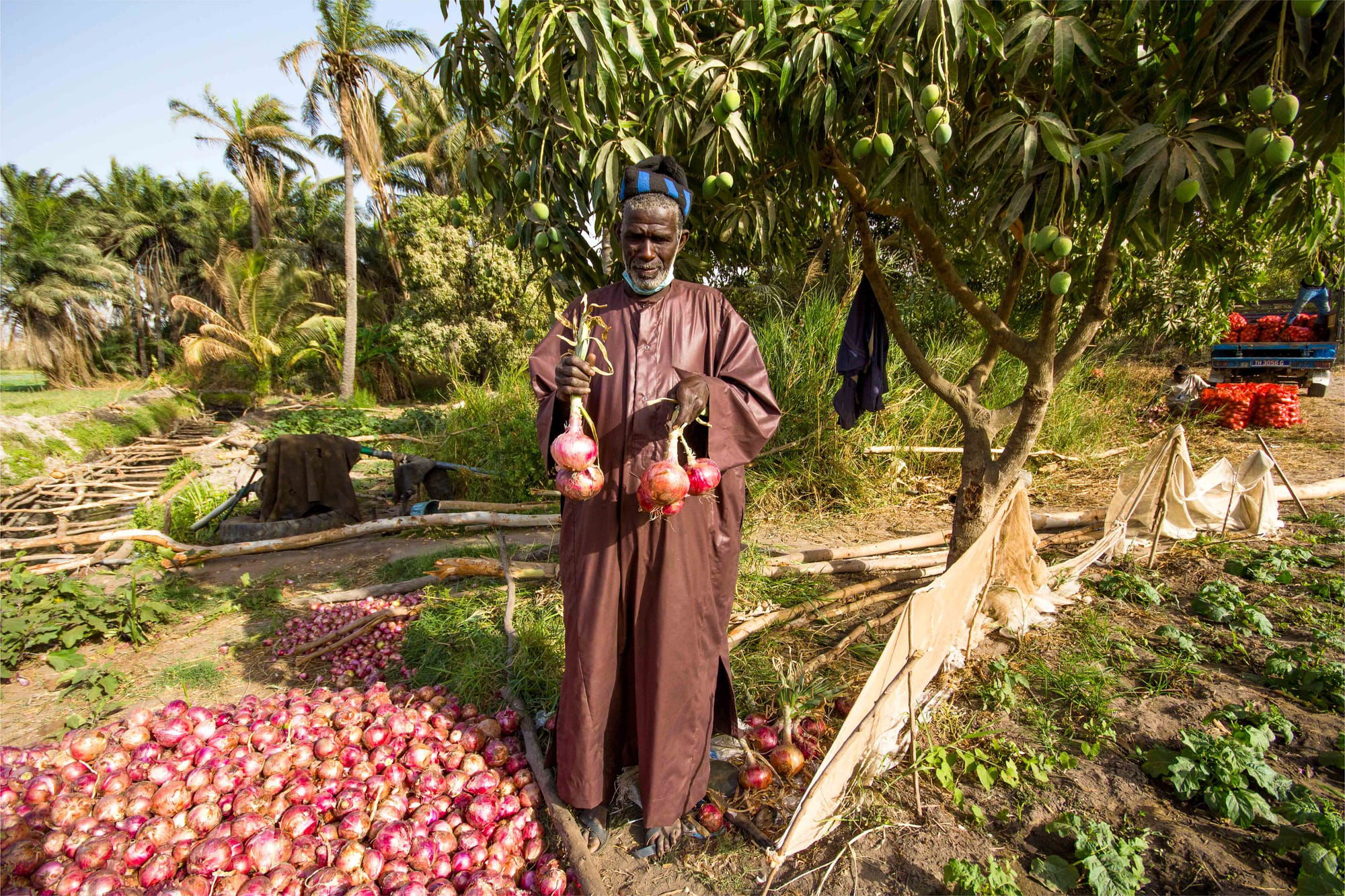 Souhaybou (Darou Khoudoss, Senegal)