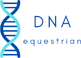 DNA equestrian
