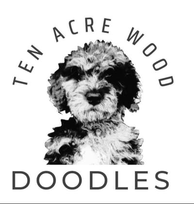 Ten Acre Wood Doodles