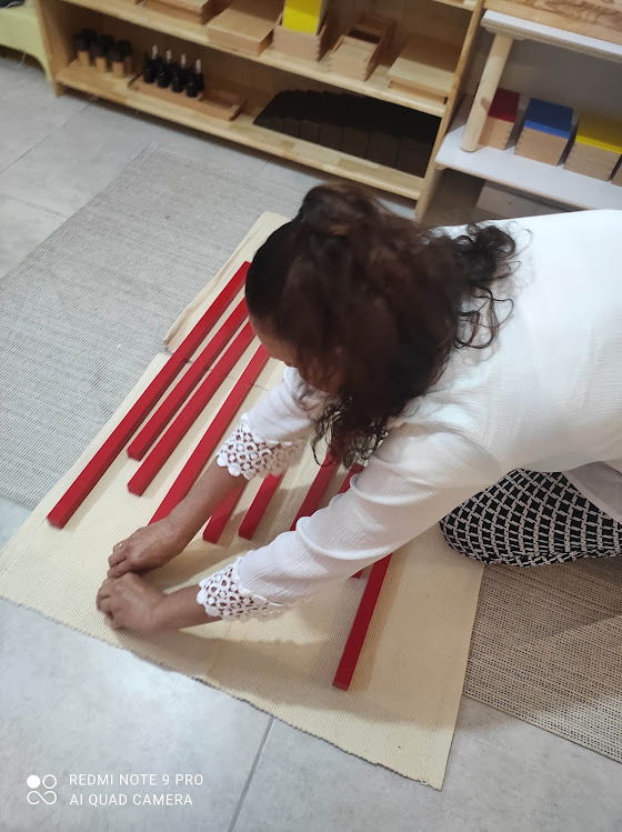קורס תחומי הדעת