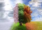 Les 4 saisons de NatureVibration