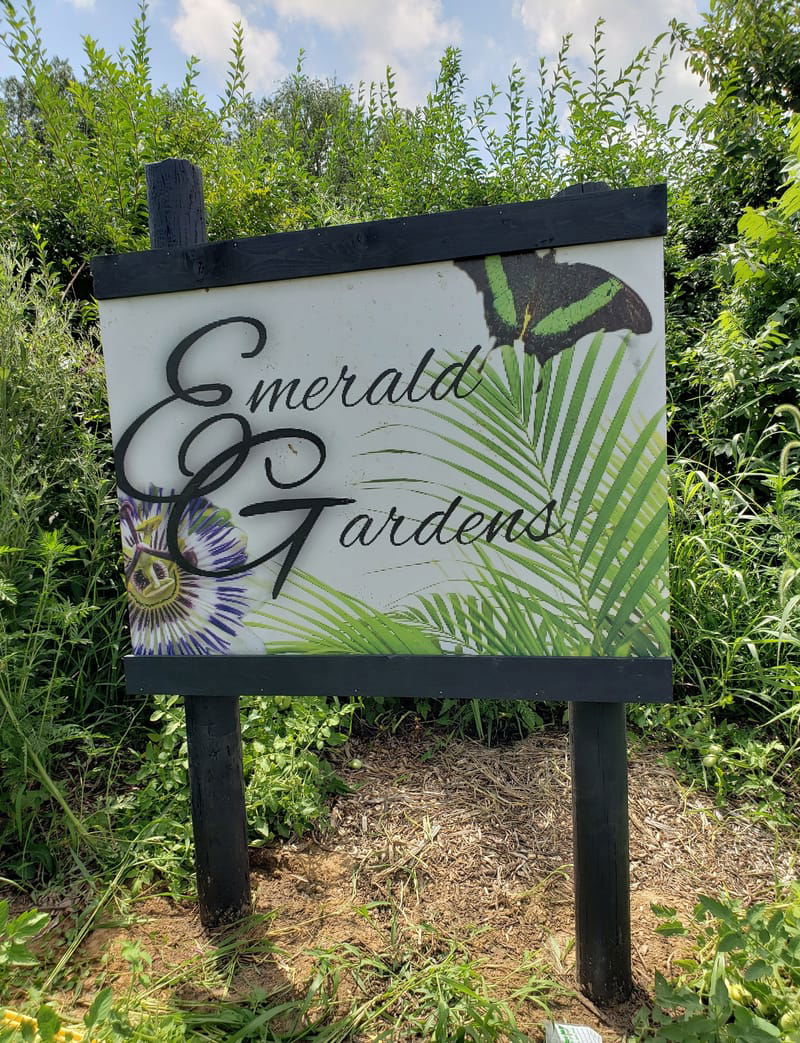 Come volunteer at the Gardens!