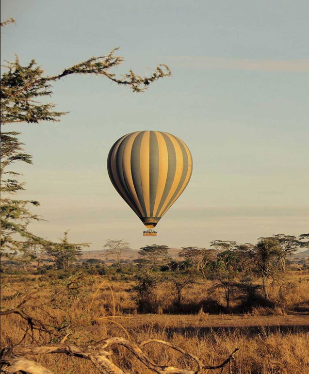 Budget Tanzania Safari Packages And Its Top Class Benefits