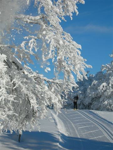 La Bresse station de ski