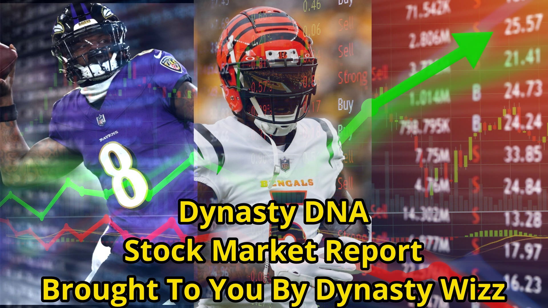 Dynasty DNA Stock Market Report