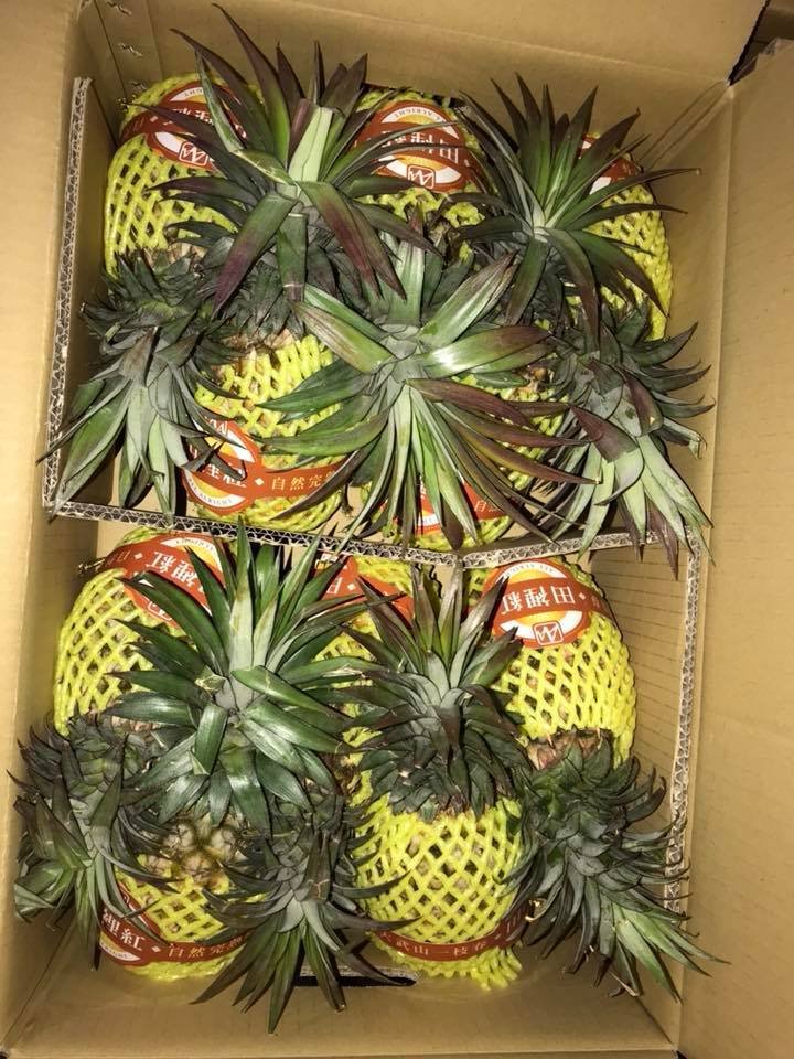 Pineapple (Taiwan)