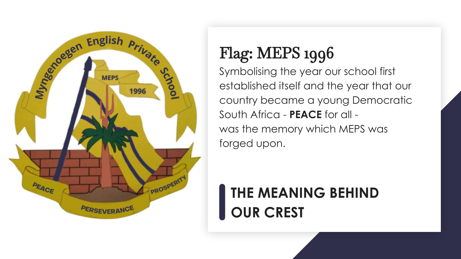 Flag: MEPS 1996