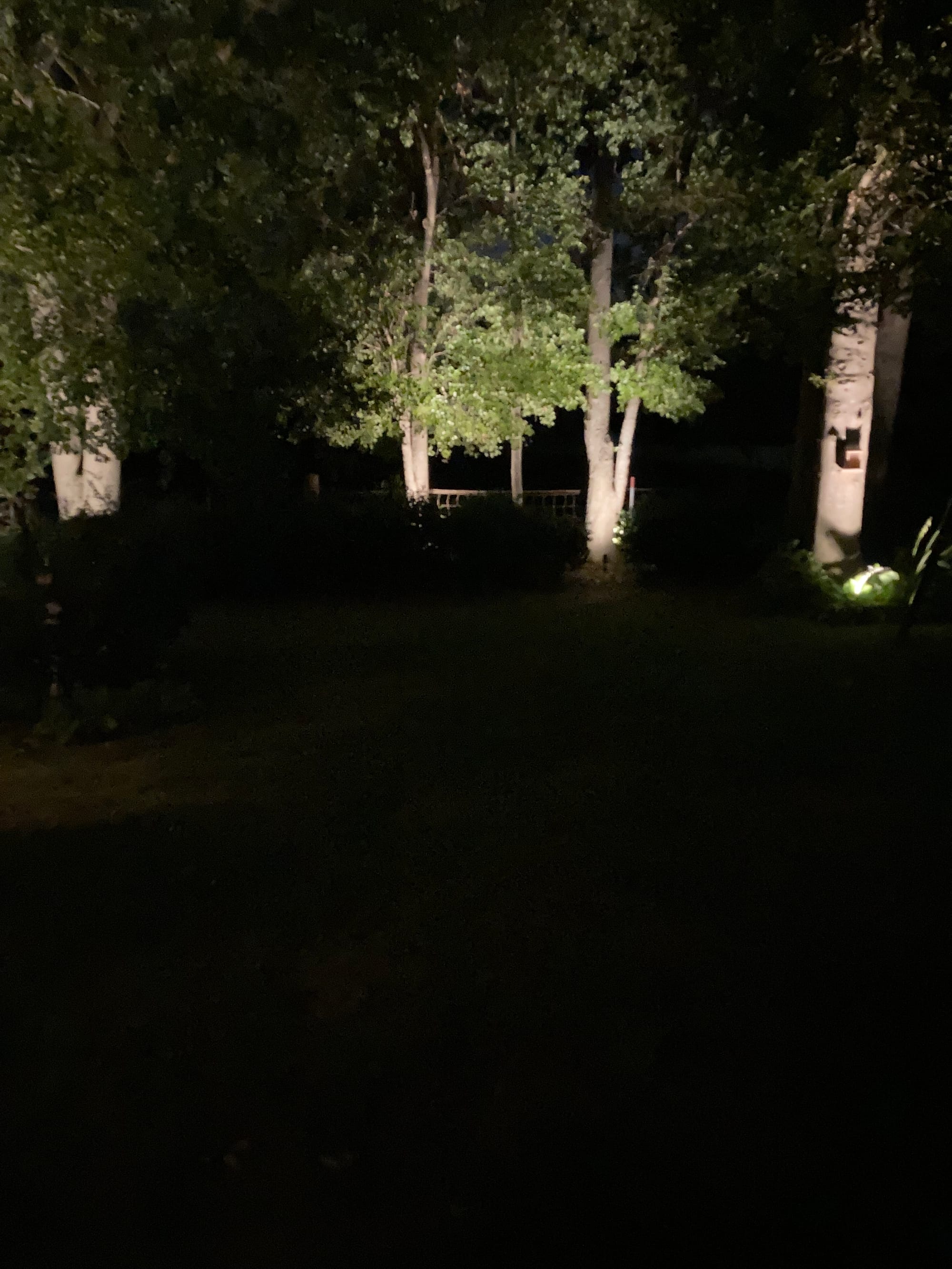 Outdoor Lighting SolutionsLandscape LightingGreenville SC Area