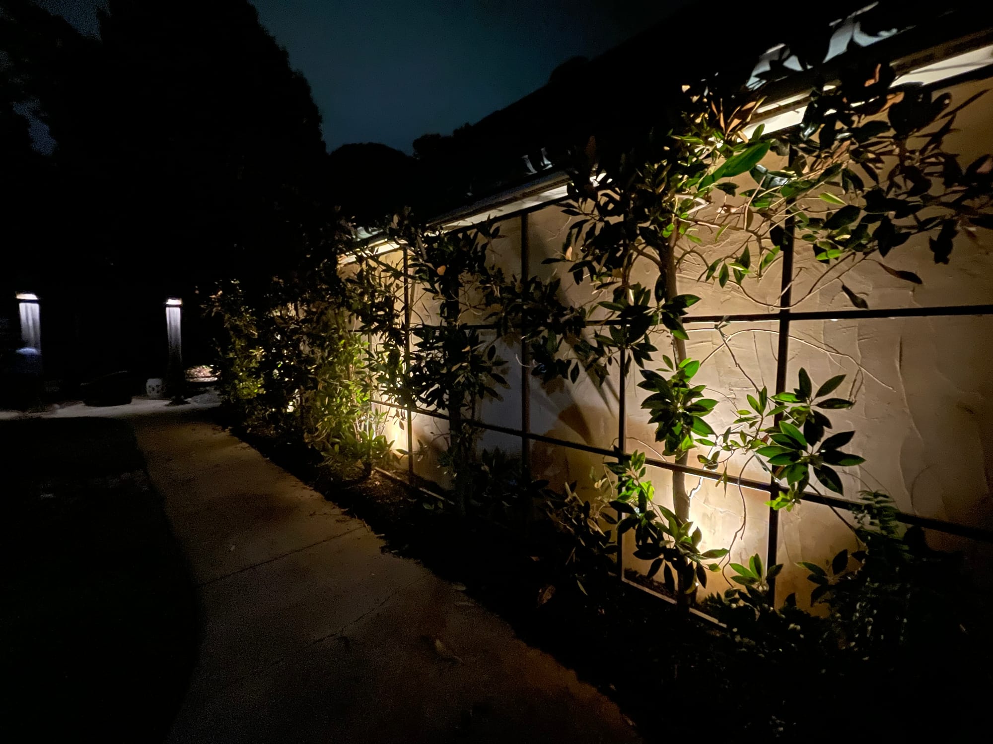 Outdoor Lighting SolutionsLandscape LightingGreenville SC Area