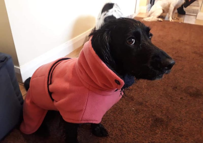 Absorbent Drying Coat Double Cotton Toweling & Fleece