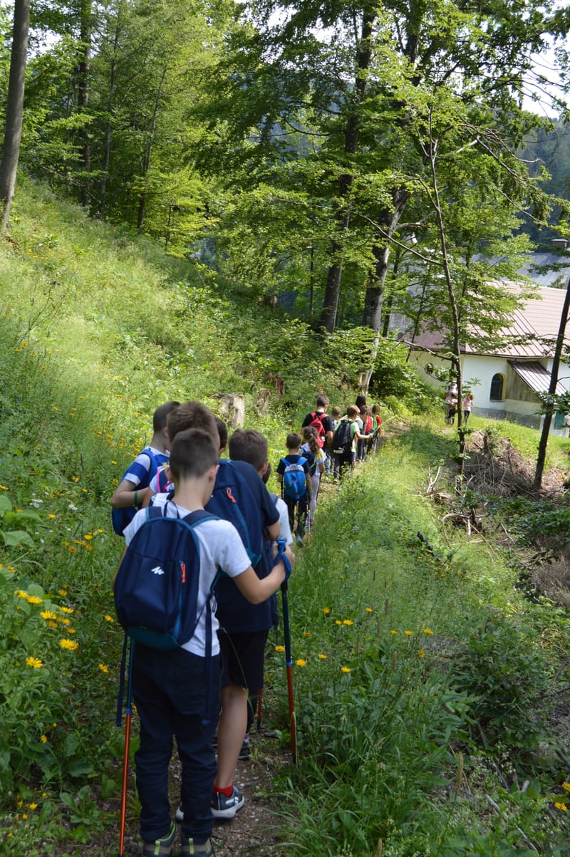 Planinarski kamp - Dvorac Stara Sušica