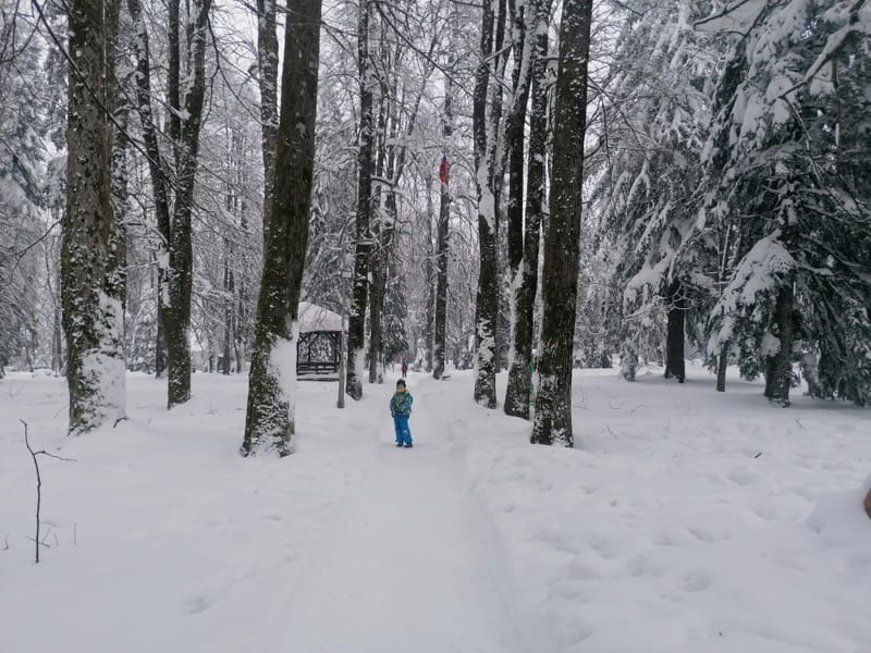 VLAK U SNIJEGU NA REGOČEV NAČIN