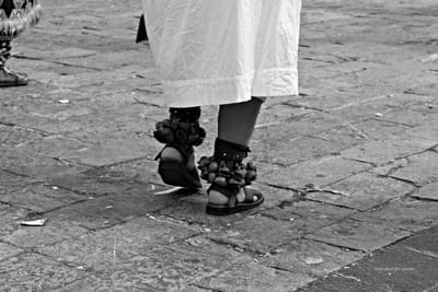 bienvenida image