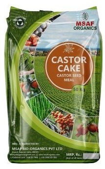 CASTOR CAKE