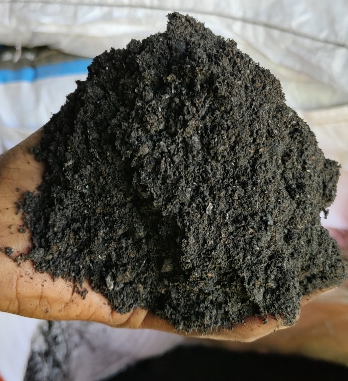 ORGANIC MANURE - MSAF BIO ORGANICS PVT LTD