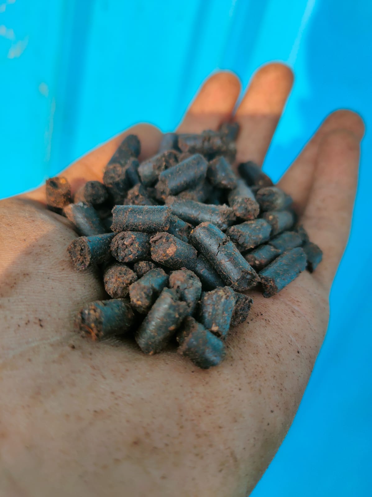 CASTOR PELLETS