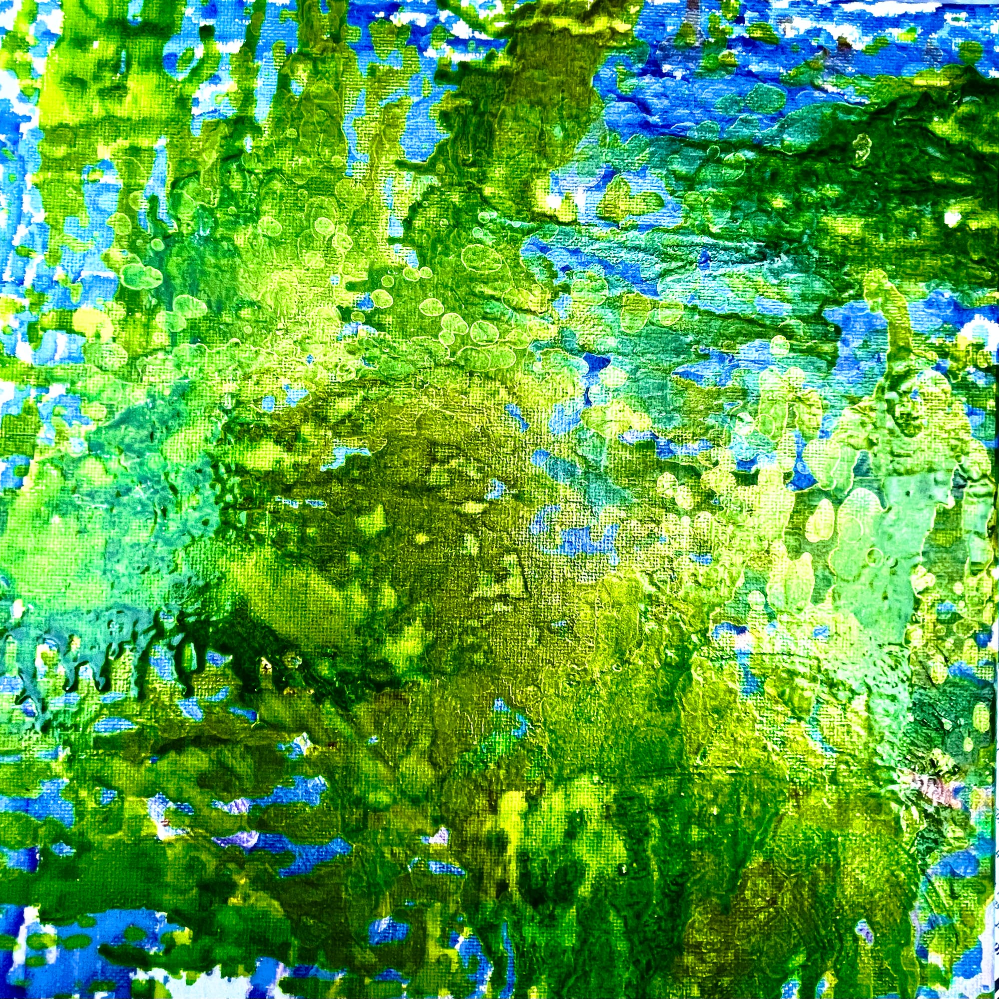 "Spirulina"