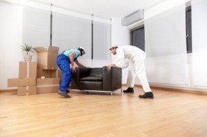 Tips for Hiring the Right Moving Company image