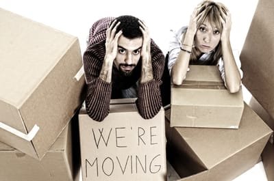 Where to Get the Best Moving Company? image