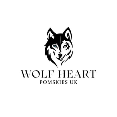 Wolf Heart Pomskies UK
