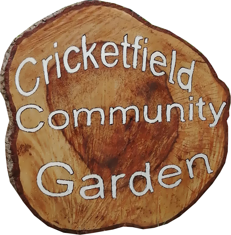 Cricketfield+Community+Garden+Summer+Fete+promises+affordable+fun+for+everyone