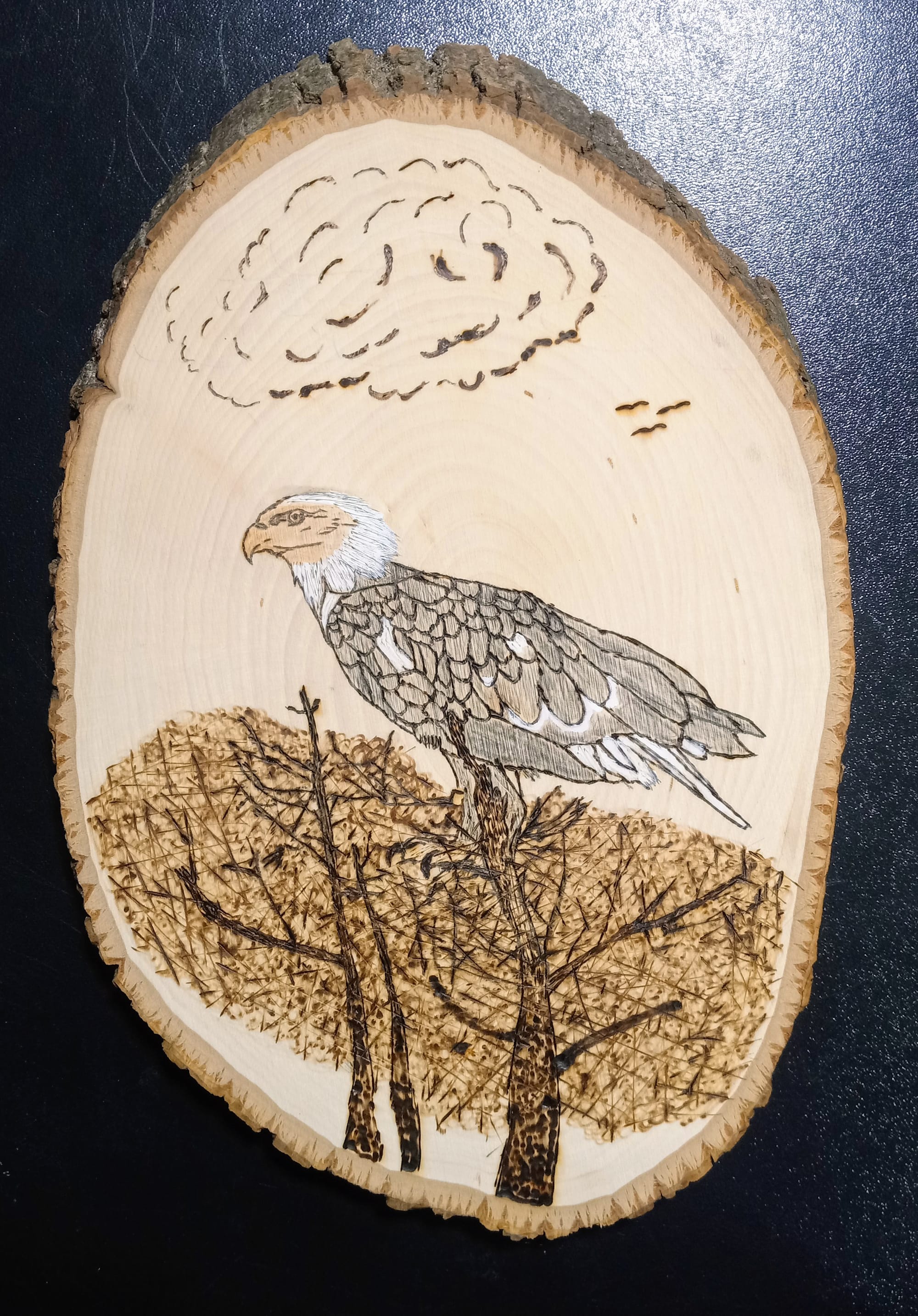 The Eagle