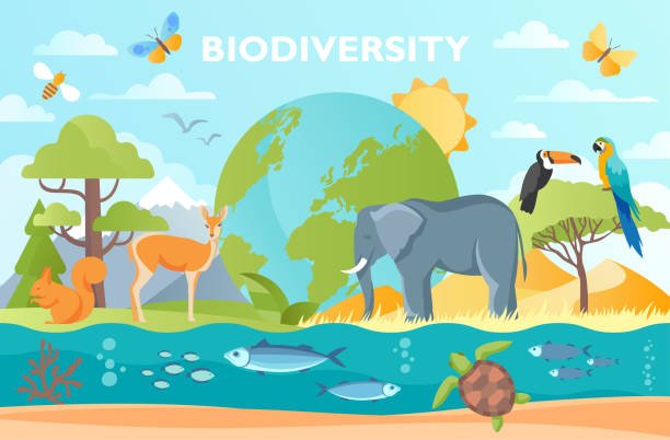 Biodiverzita