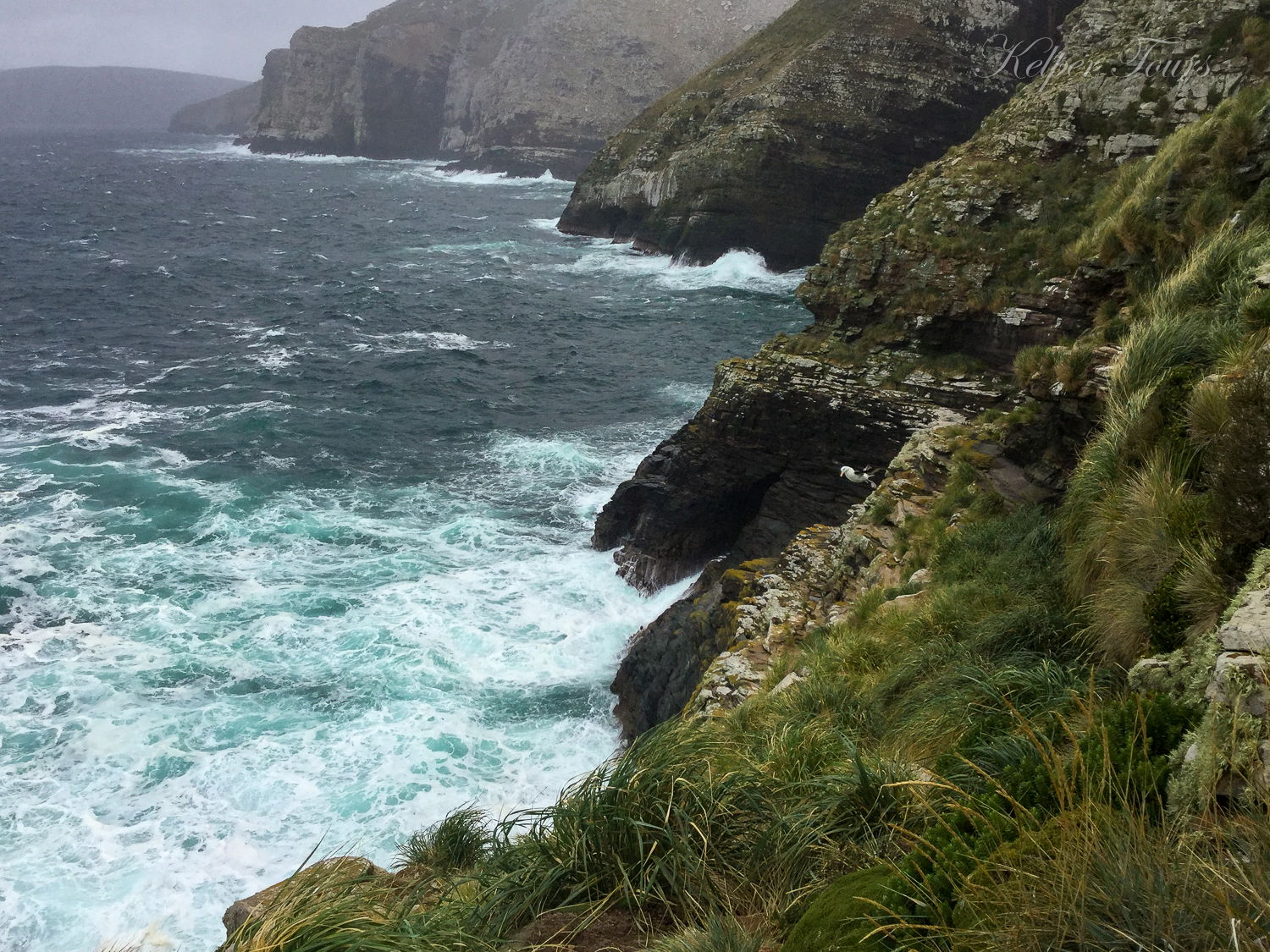 Cliffs, Penguin Point