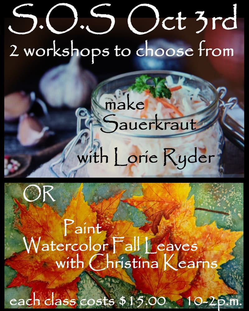 S.O.S - Share Our Skills - Saurkraut or Painting
