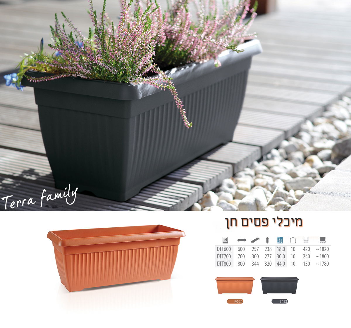מיכלי חן פסים במגוון גדלים