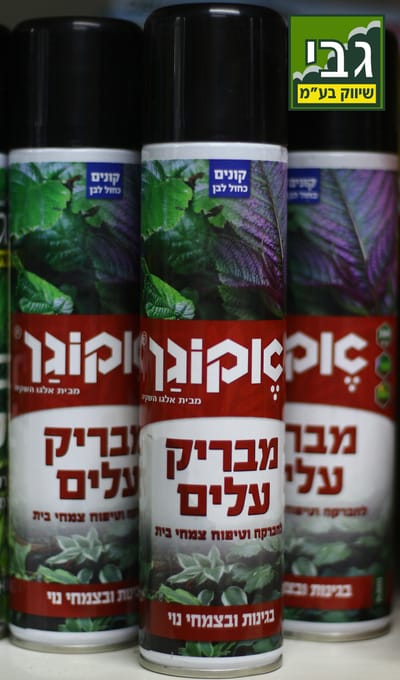 קטלוג אקוגן 2016