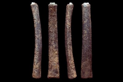 Swahili image
