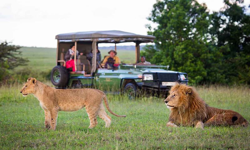 Kenya Wildlife Safari Tour And Its Advantages - Kenya Incentives Tours & Safaris
