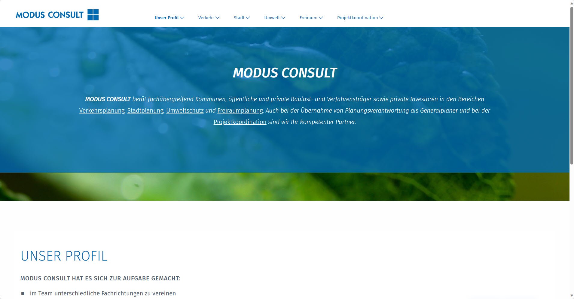 MODUS Consult Gericke GmbH & Co. KG